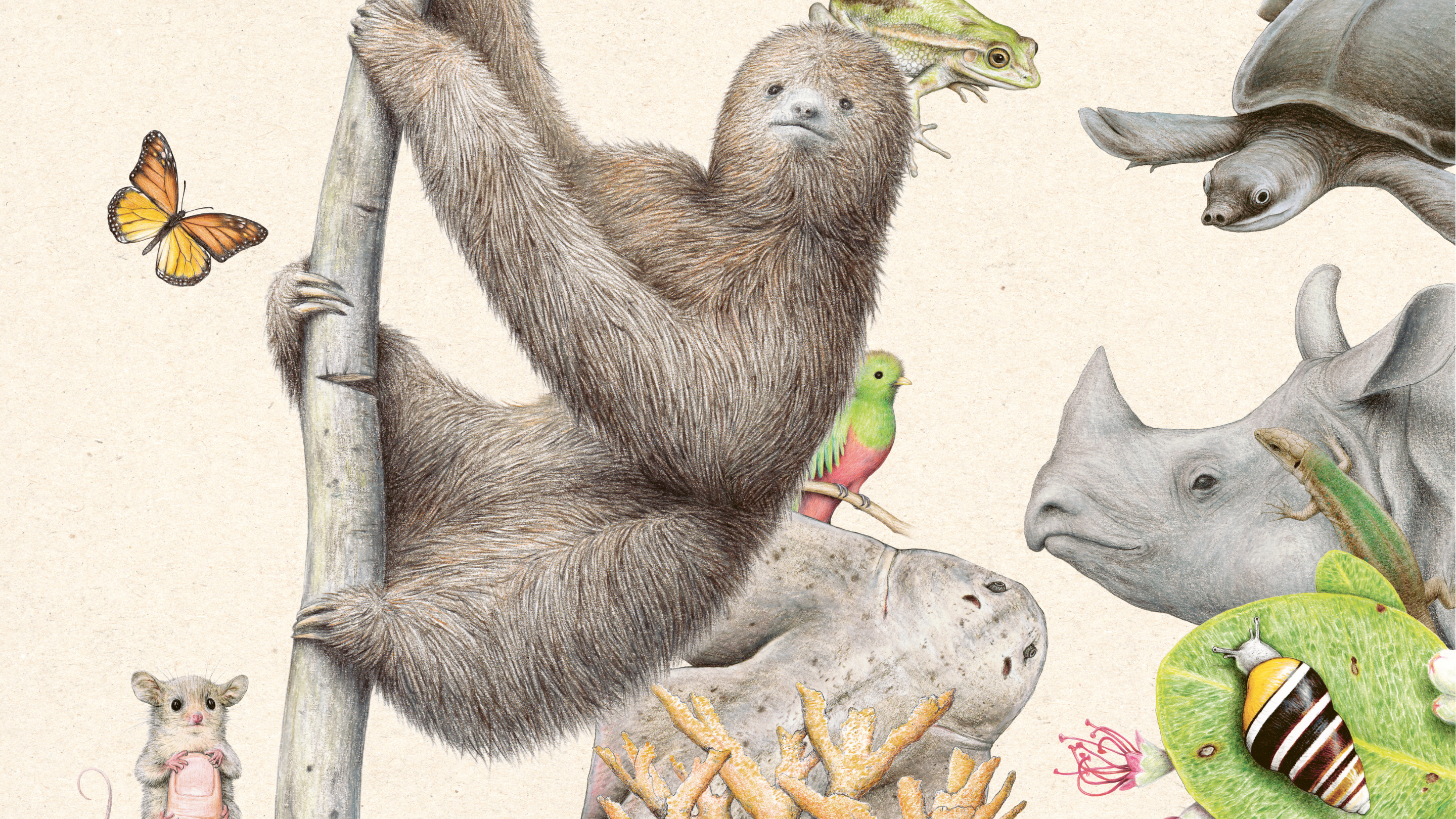 Extintopedia